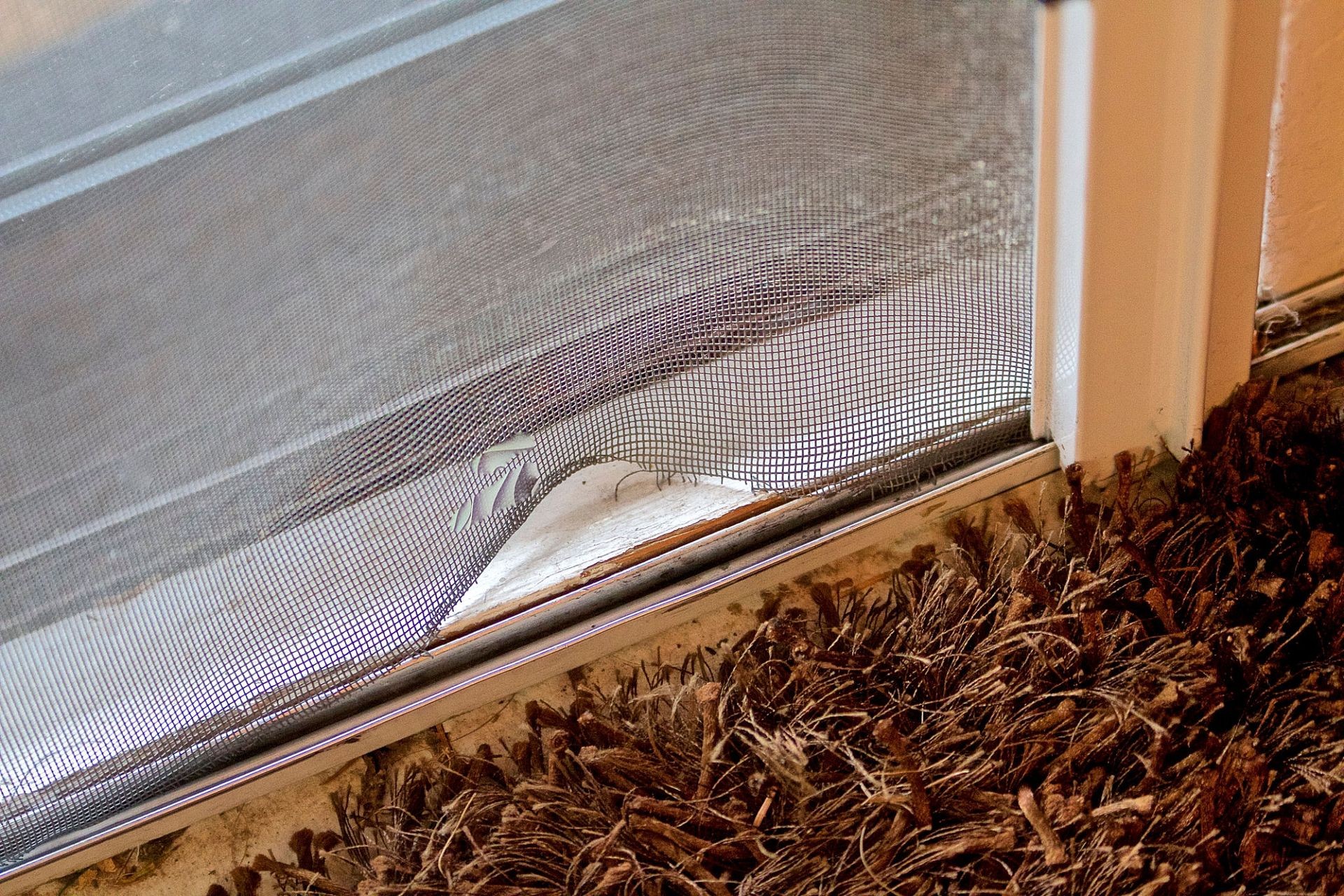 Close-up of a window screen with a noticeable tear near the bottom, showing damage and wear.